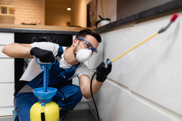 Best Exterminator Services  in Melrose, MA