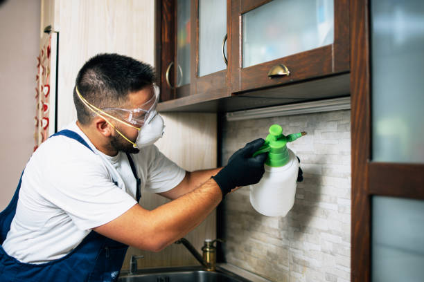 Best Wildlife Control Services  in Melrose, MA