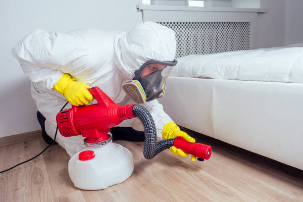 Best Emergency Pest Control  in Melrose, MA